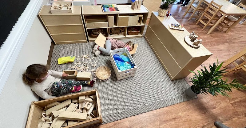 German International School of Dallas cover image