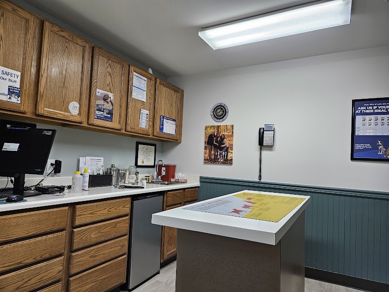 East State Veterinary Clinic cover image