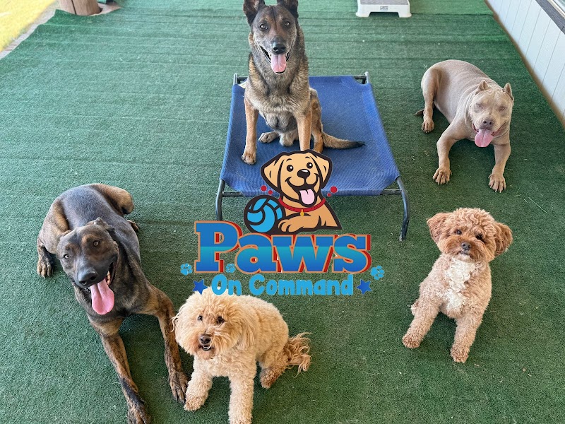 Paws On Command cover image