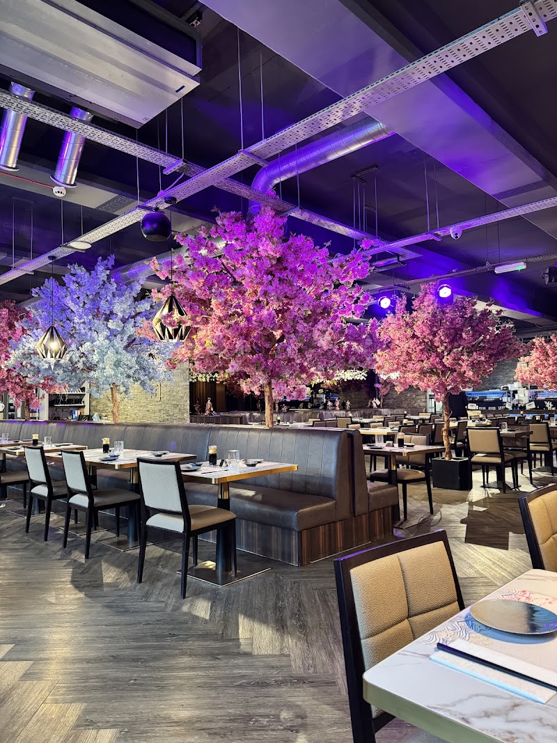 Blue Sakura Leeds cover image