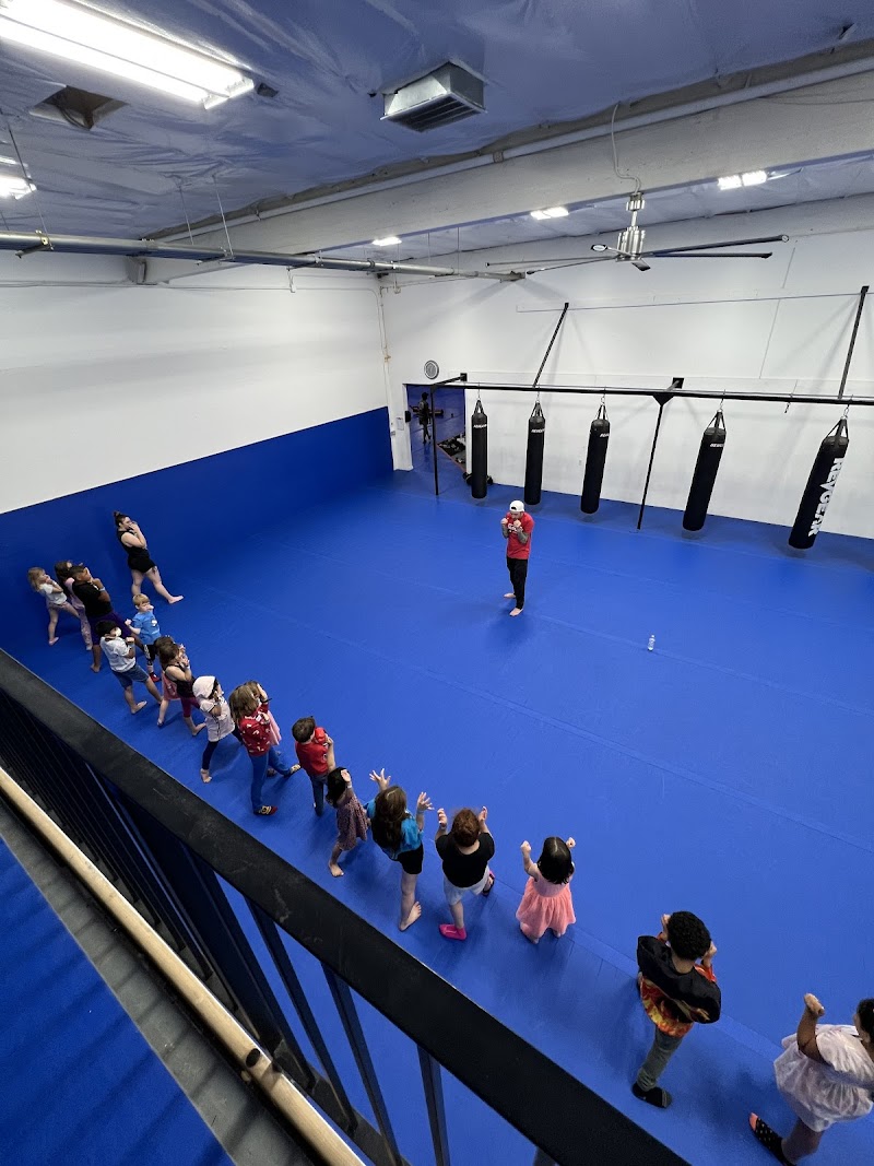 Daruma Combat Sports cover image