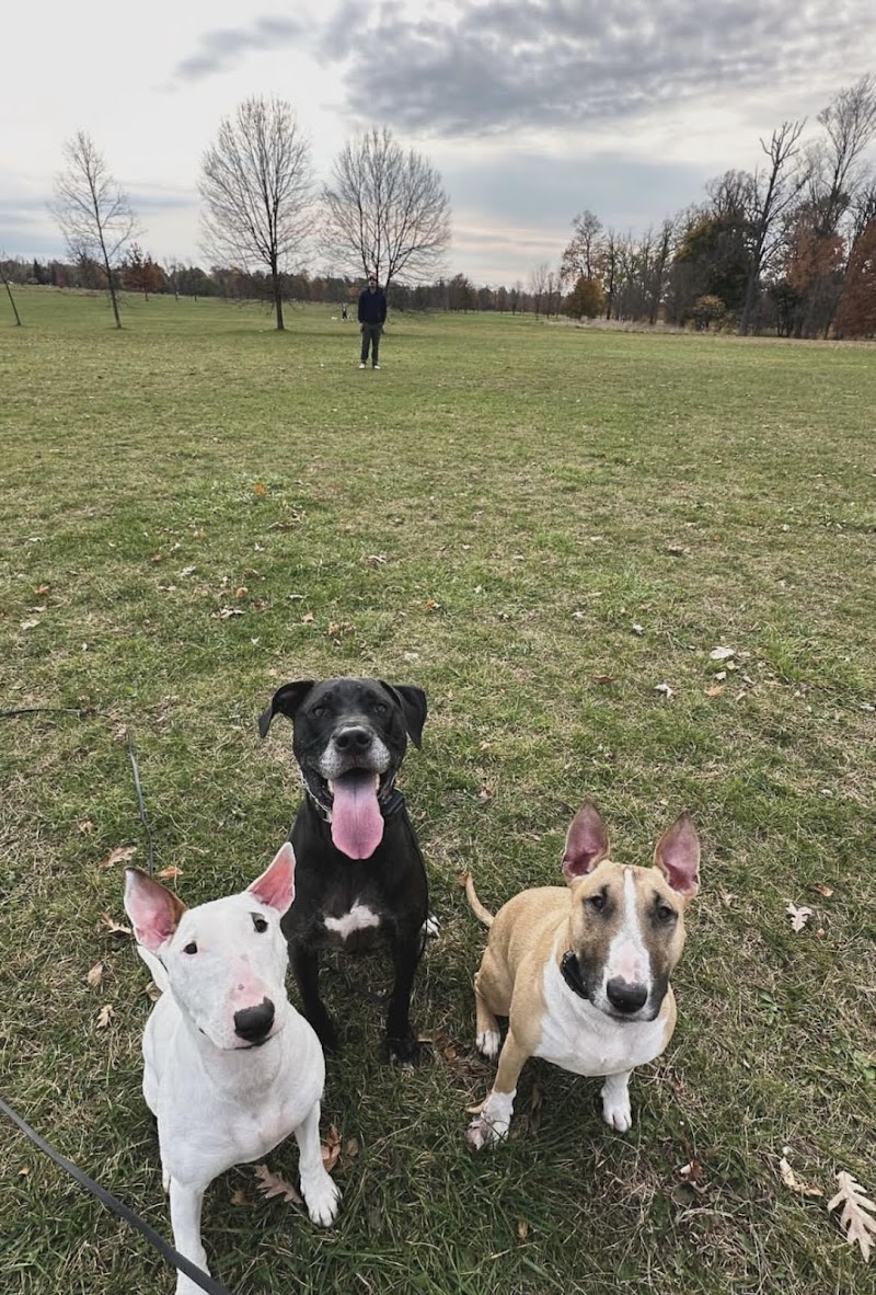 The Happy Hound Behavior and Obedience cover