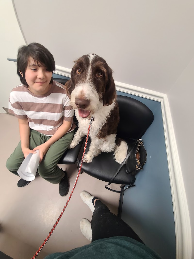 Stine Veterinary Hospital cover image