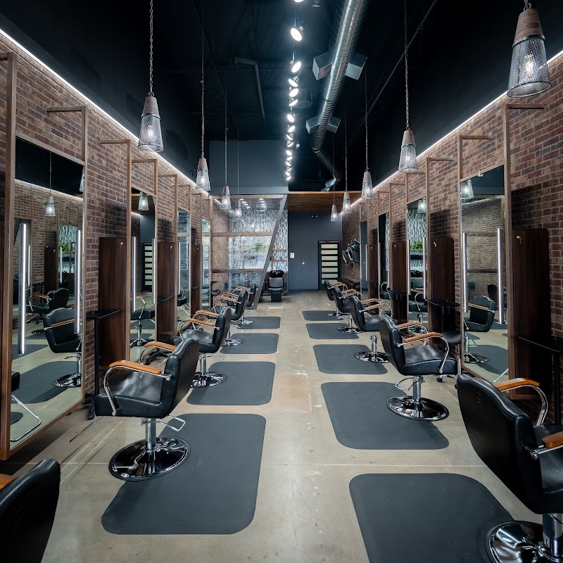 The Hair Standard cover image