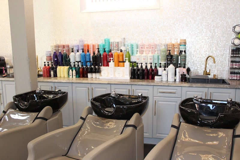 Pariz Salon cover image