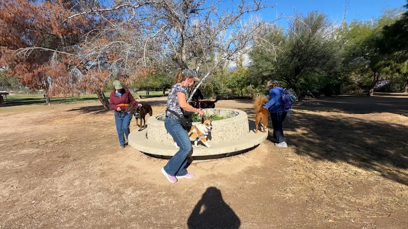 Oh, Behave! Pet Training & Behavior Solutions cover