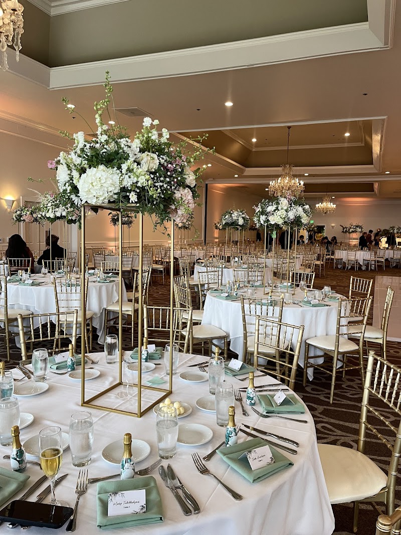 Sky Light Flowers cover image