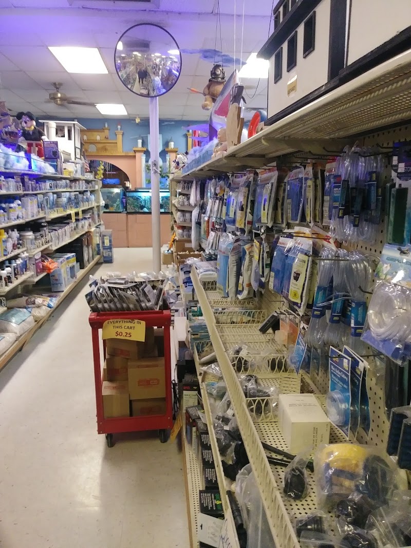 Forever Pets Inc cover image