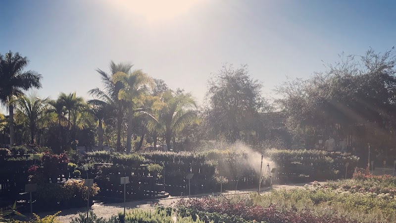 Casaplanta Garden Center cover image