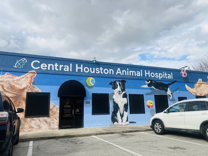 Central Houston Animal Hospital cover image