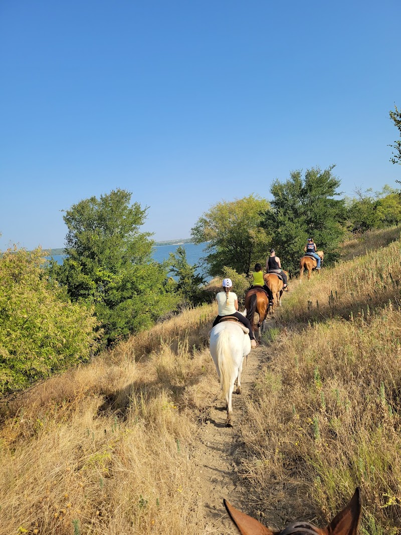 Touch of Chrome Trail Rides cover image