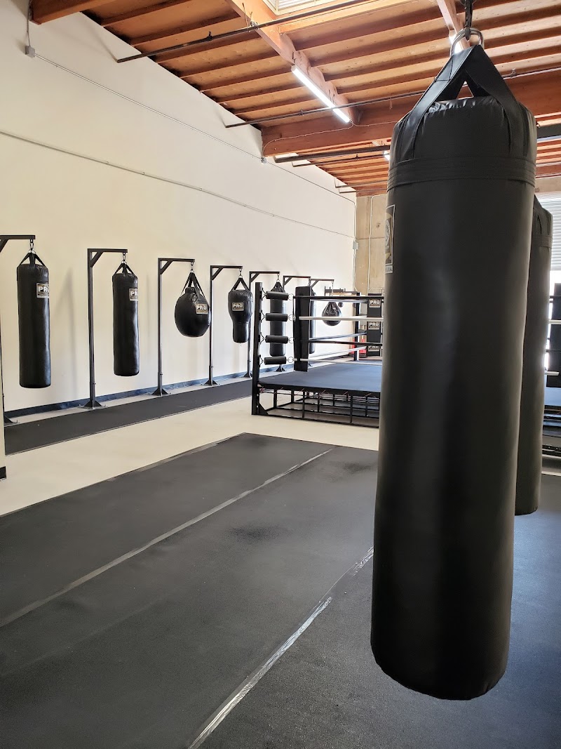 Move or Die Boxing cover image