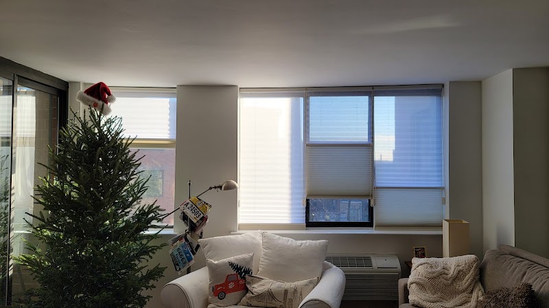 Tapout Termite & Pest Control cover