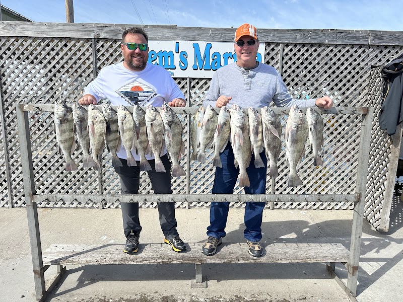 Southbound Fishing Charters - Captain Pierre Petrila cover image