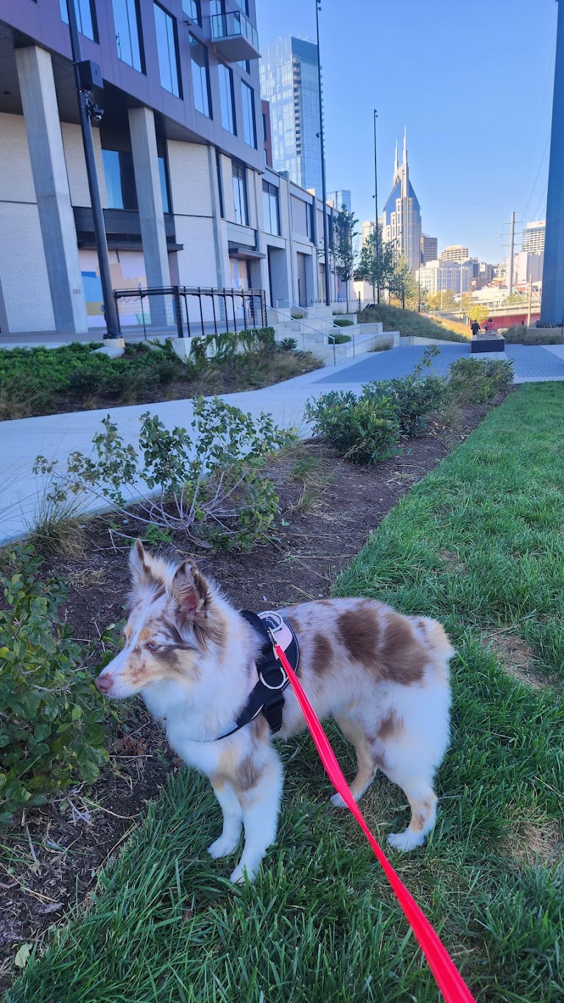 Jolly Paws Pet Care cover image