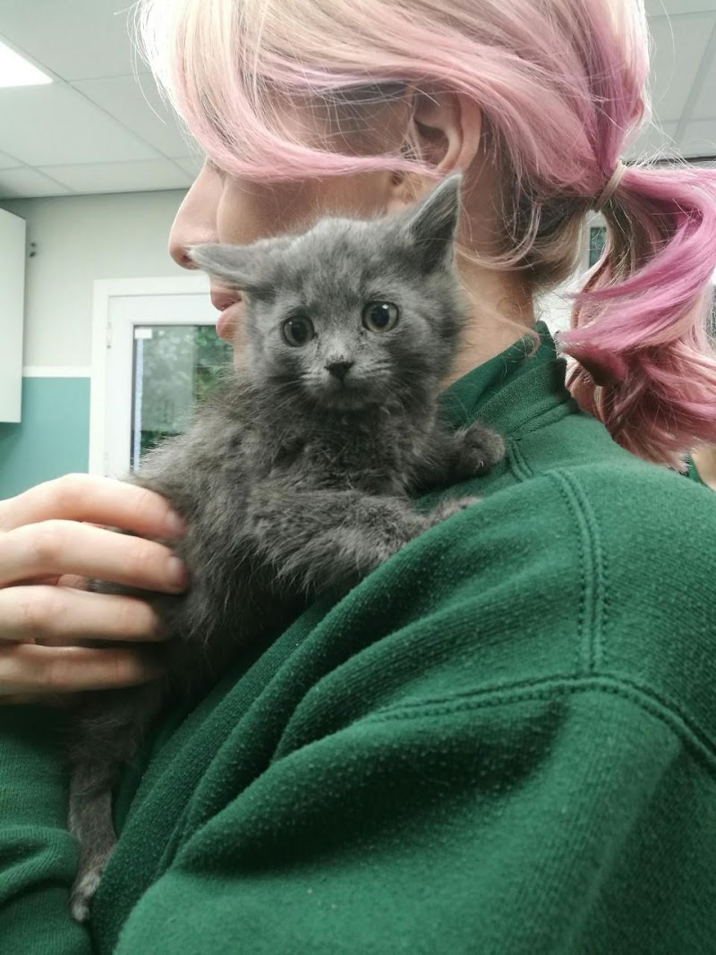 Oak Tree Vet Centre cover image