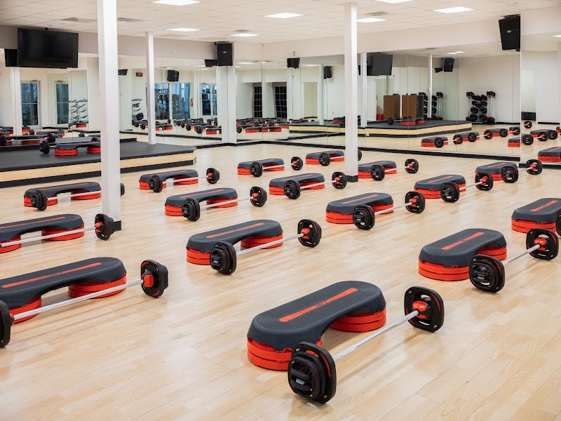 Brick Bodies cover image