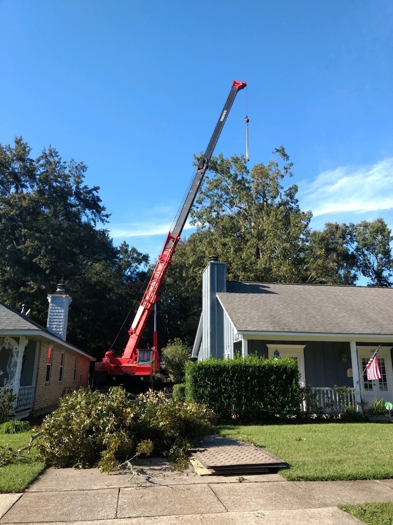 Arbor Tech Tree Service, Inc cover image