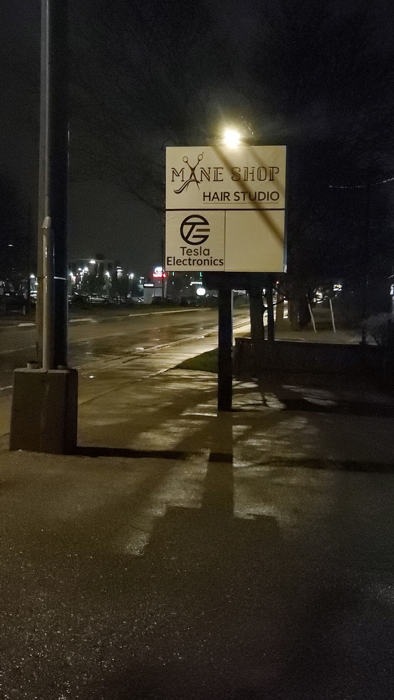 Tesla Electronics cover image