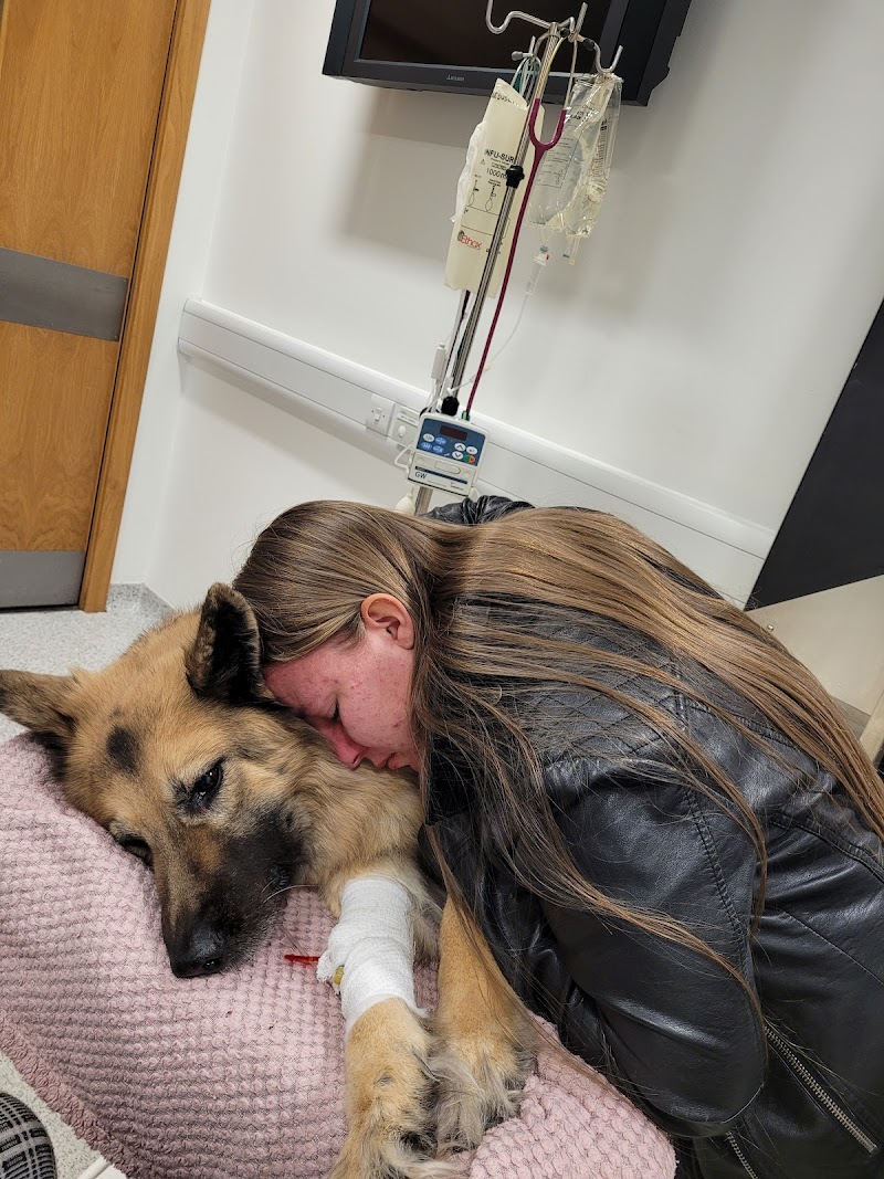 The University of Glasgow Small Animal Hospital cover image