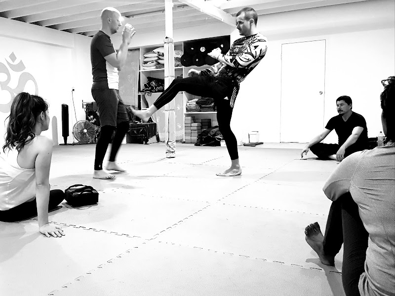 Taijutsu Martial Arts Brisbane cover image