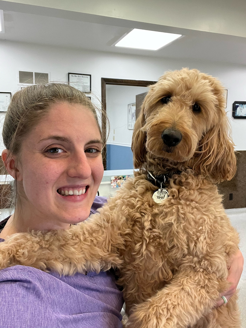 Great Southern Animal Hospital cover