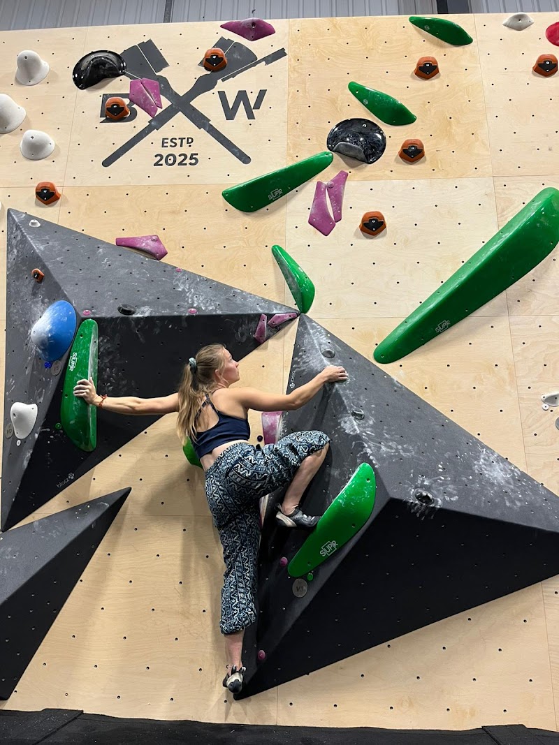 Brushworks Climbing cover image