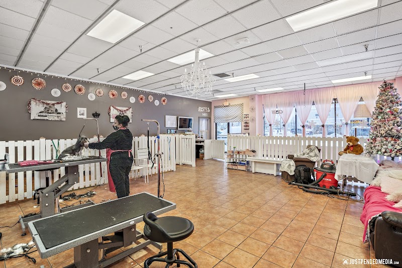 Poshy Paws cover image