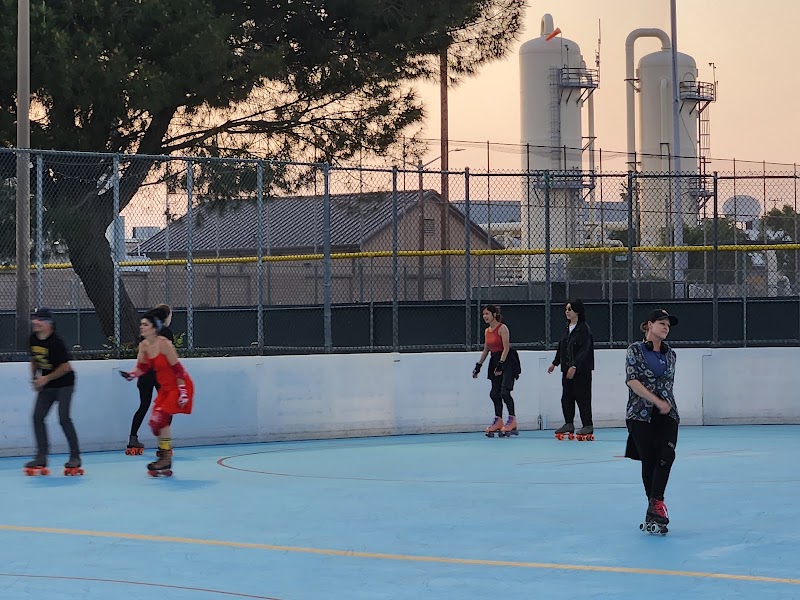 Public Skating at LA Kings Burbank Sports Center cover image