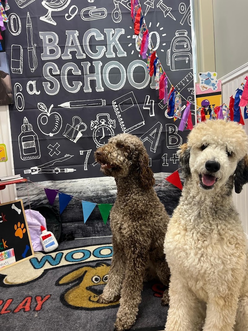 Digs Dog Care cover image