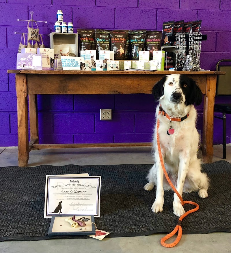 Real World Canine cover image