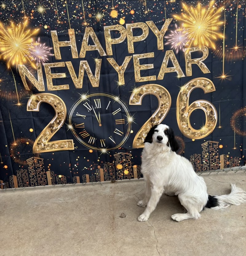 Tenaker Pet Care Center, Inc. cover image