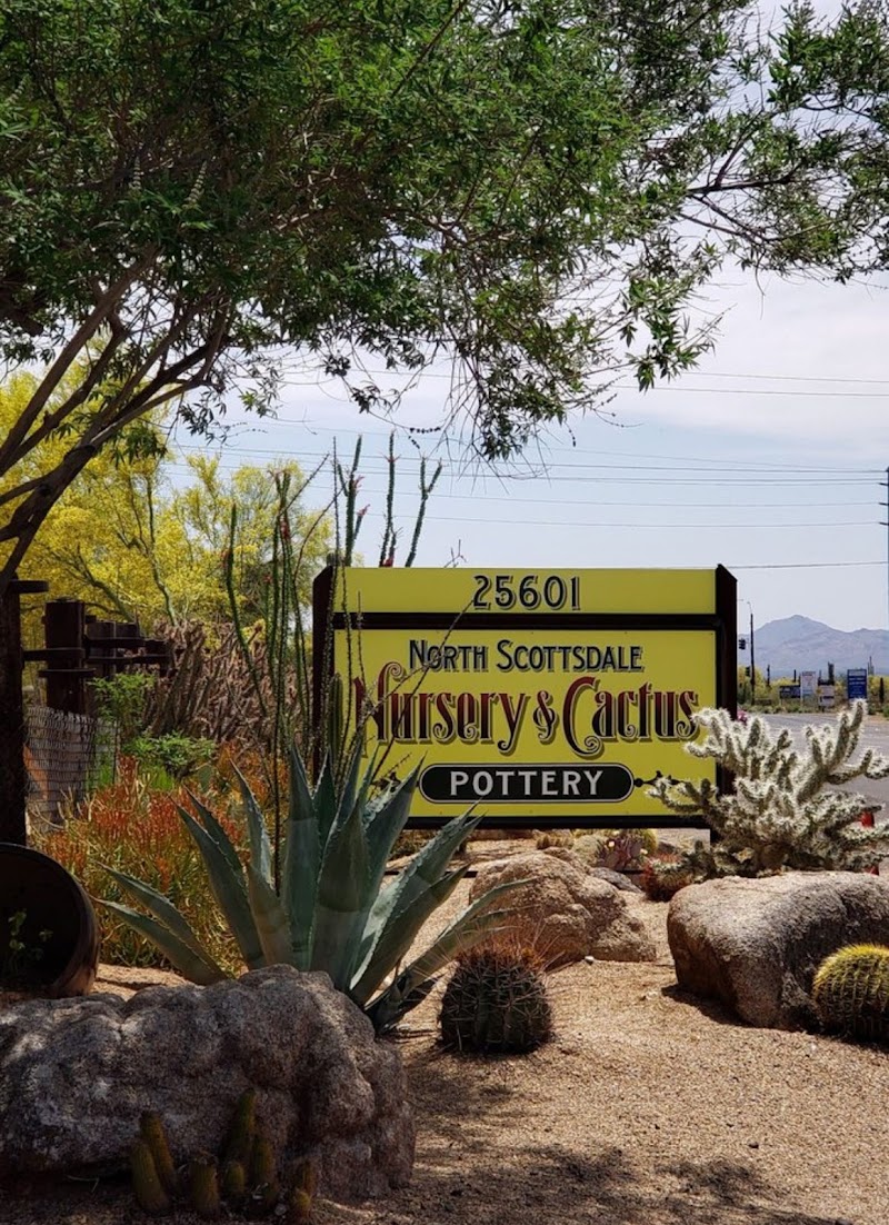 North Scottsdale Nursery & Cactus cover image