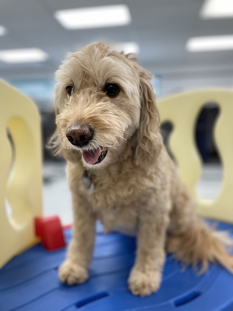 Pet Paradise Inc. (Edmonton) cover image