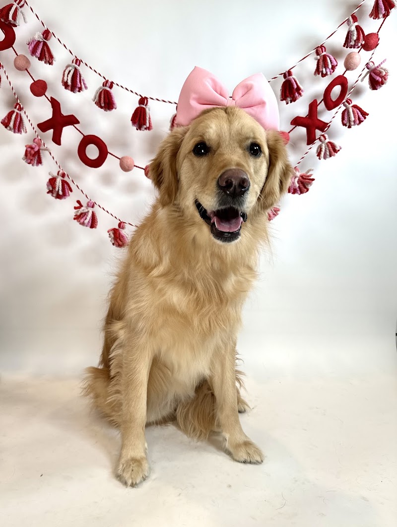 Play All Day cover image