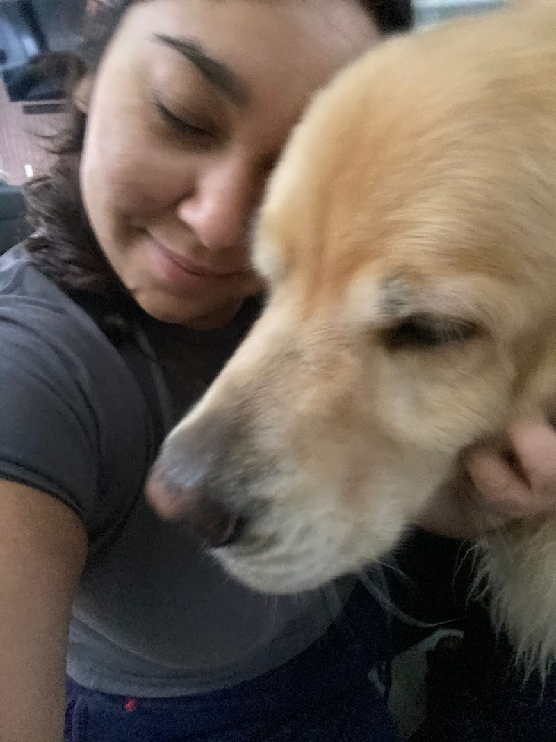 Equipaws Pet Services cover image