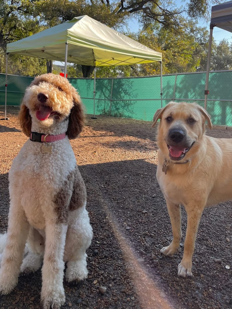 Pups & Pals Pet Lounge - Oak Hill cover image