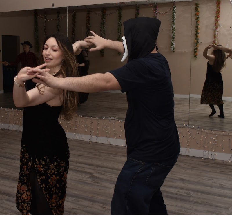 Arctic Académie de Danse cover image