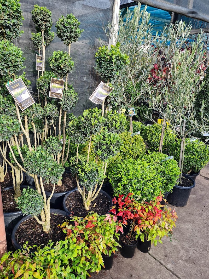 Adelaide Wholesale Plants cover image