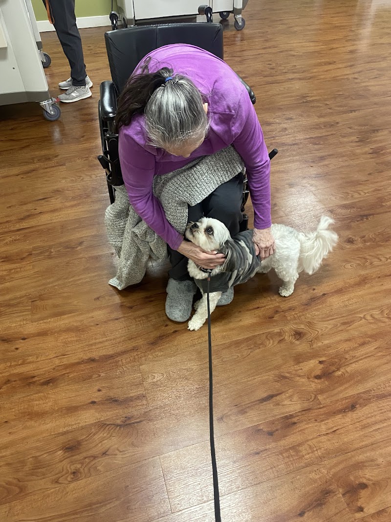 Dog Lovers Obedience School cover image