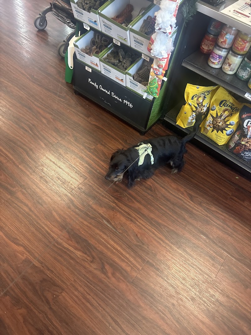 Hollywood Feed cover image