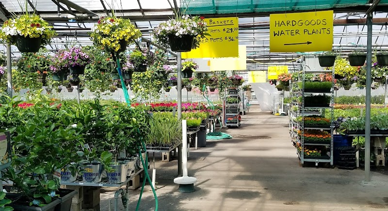 Elliott Gardens cover image