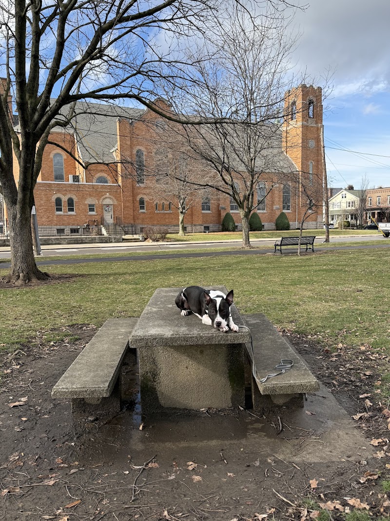 Canine Academy Columbus cover image