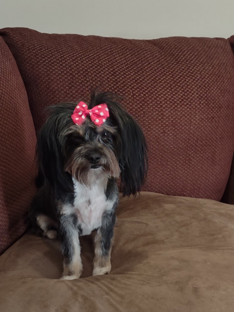 Pets-U-Love Inc cover image