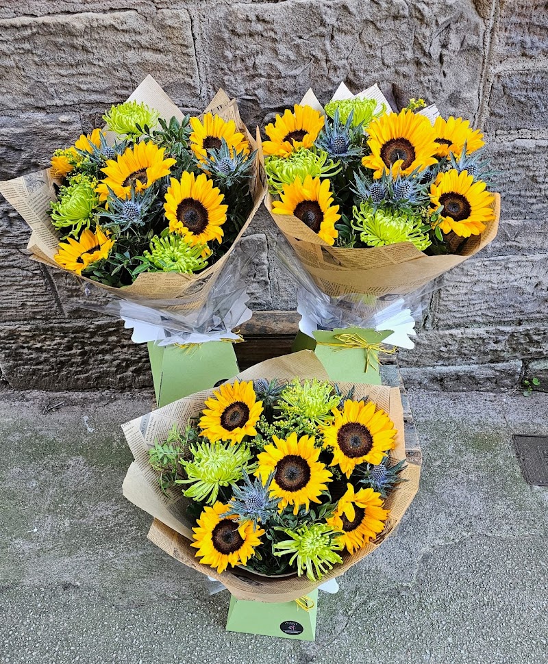 Nikkis fleurs cover image