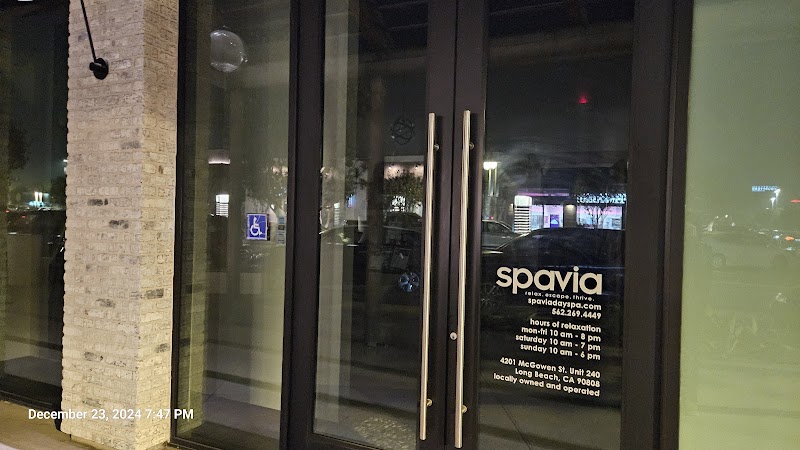 Spavia LBX cover image