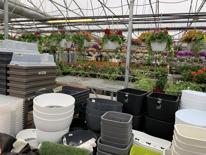 Mega Centre Montreal (Pépinière Gentile) cover image