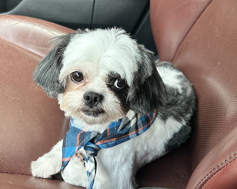 MaryMac's Doggie Retreat cover image