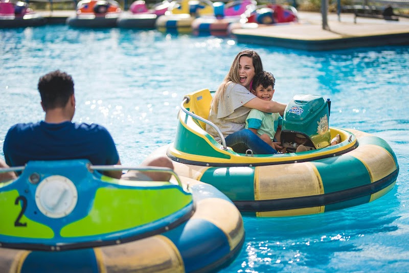 Celebration Station cover image