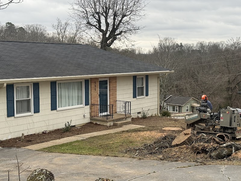 Common Ground Chattanooga Tree Service cover image